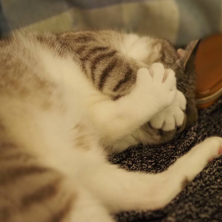 D1fbb06b 9169 4072 b77b 4d30eba6c342 1626612248968