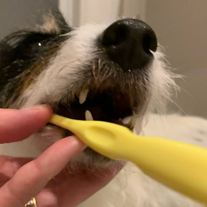 D1fbbae6 897d 4773 9255 e6c6ca3b0b1e 1718888240999