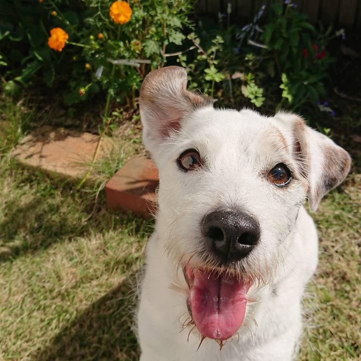 D1fbdfad d272 4021 bcb5 9cf1d35e5141 1572996289715