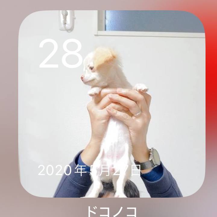 D1fc0016 549e 47c0 9006 291d449680cd 1716887207752