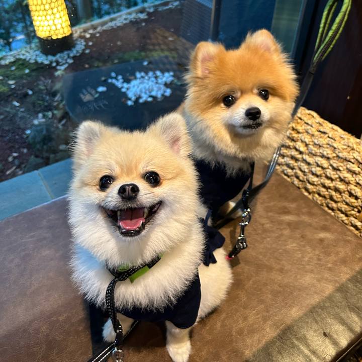 D1fc0d84 087f 4736 babd ef3dbb3ce2c3 1729258629394