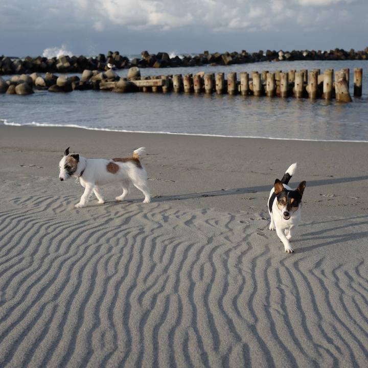 D1fc33c9 1a5d 4fbf bd0a 0a3741f805d4 1675937441800