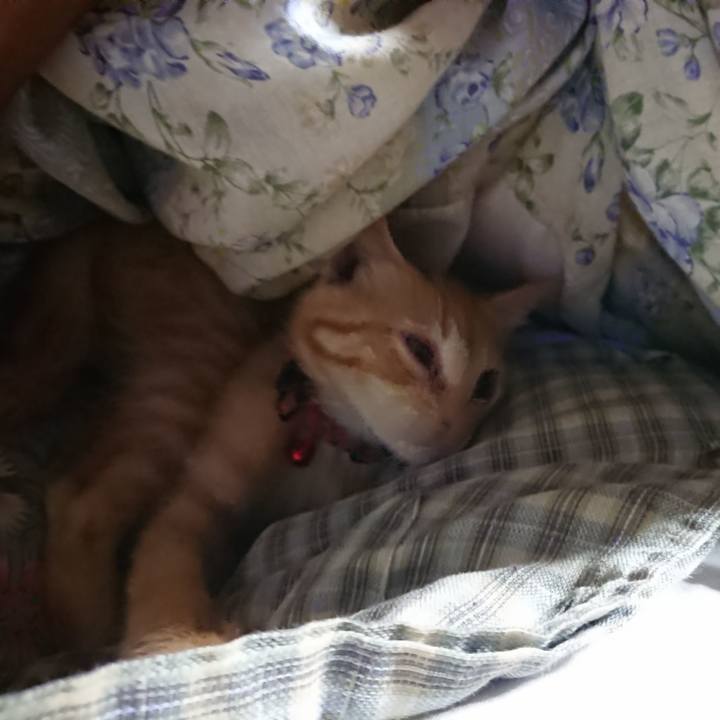 D1fc393b a416 49b2 b7cf b602bbb9e9fe 1630355410217