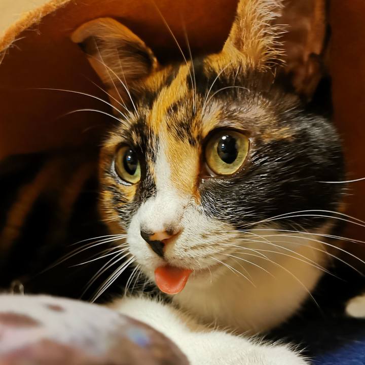 D1fc4723 3e63 42b5 81fe 669bbeed25b0 1648970597637