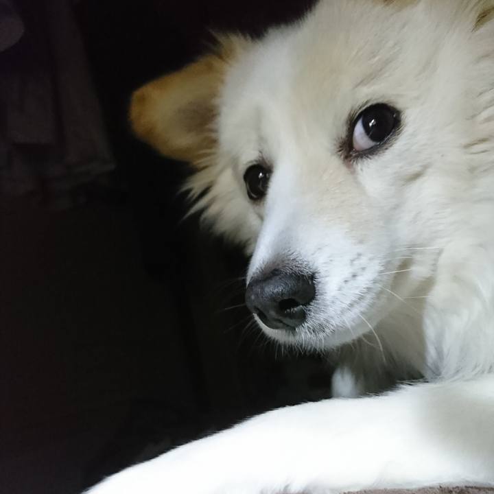 D1fc6573 6654 4af4 bef0 1d909a0a16e6 1521406202837