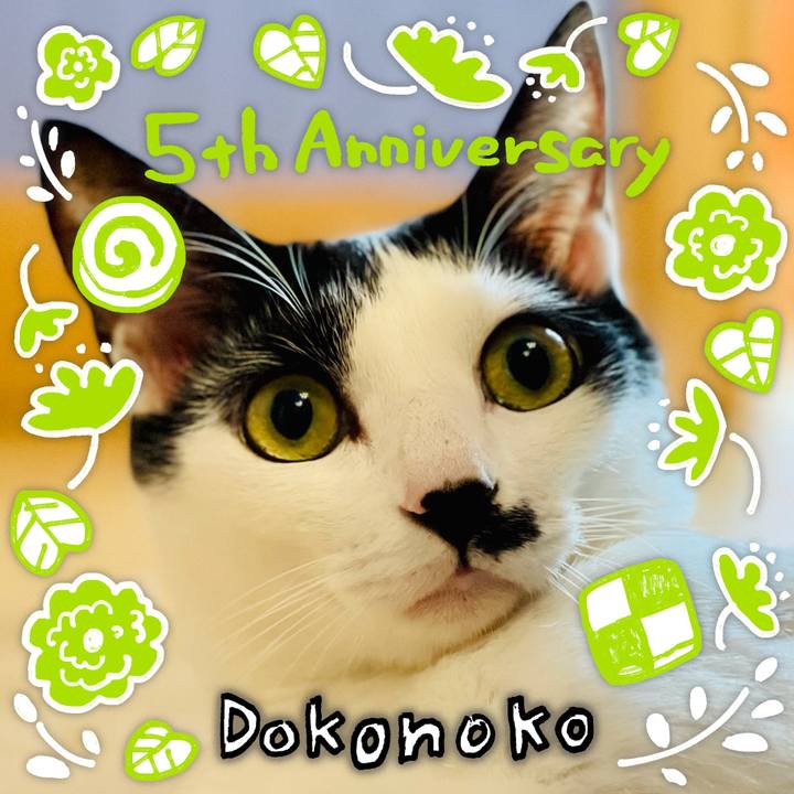 D1fc7cdc 8848 4488 8b28 b3c6f3086794 1623409797763