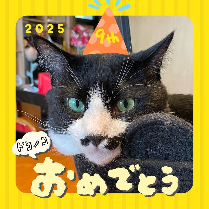 D1fc8af4 4628 4fe2 8235 621a216b31d0 1749179196606