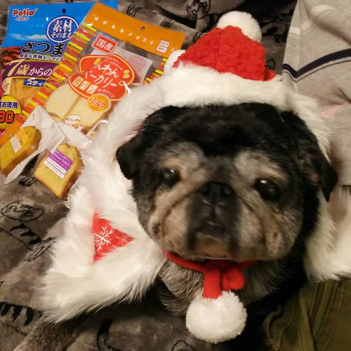 D1fc99a1 94b7 4299 800c 4ba6c1629a48 1545530278916