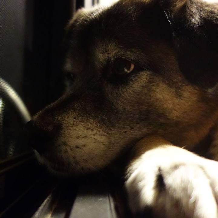 D1fcbb23 8049 4941 a135 e70eb7ad27a2 1524049603710