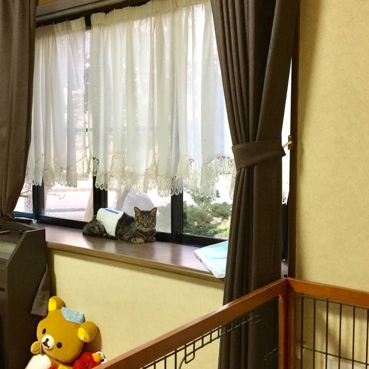 D1fcc14c 2916 43a7 a3f4 d473f9940b4a 1534589525849