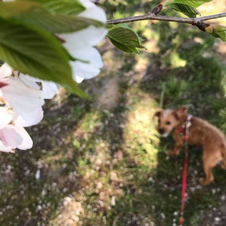 D1fcc6b5 bf66 4aac 84f4 34d416c71b53 1523520250166