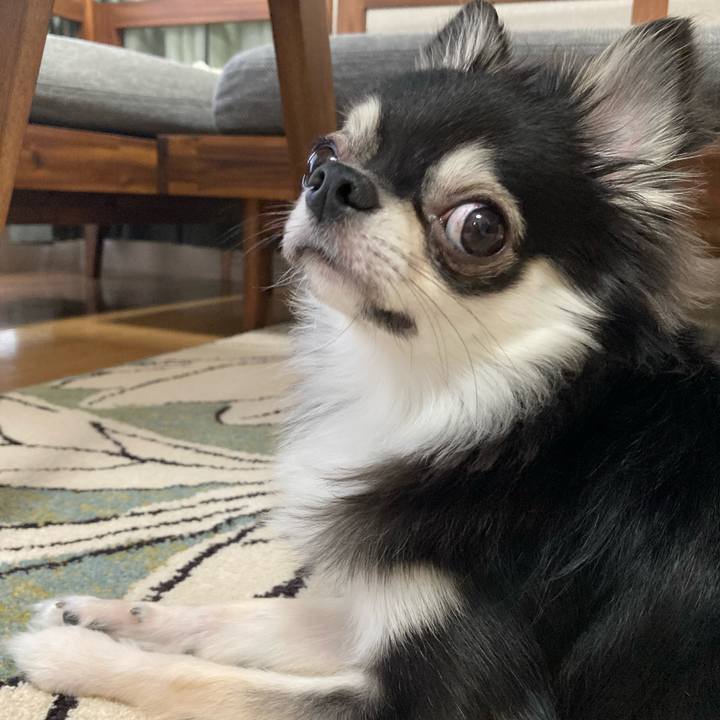 D1fce657 9433 4d73 9068 5502e864a36c 1630209115891