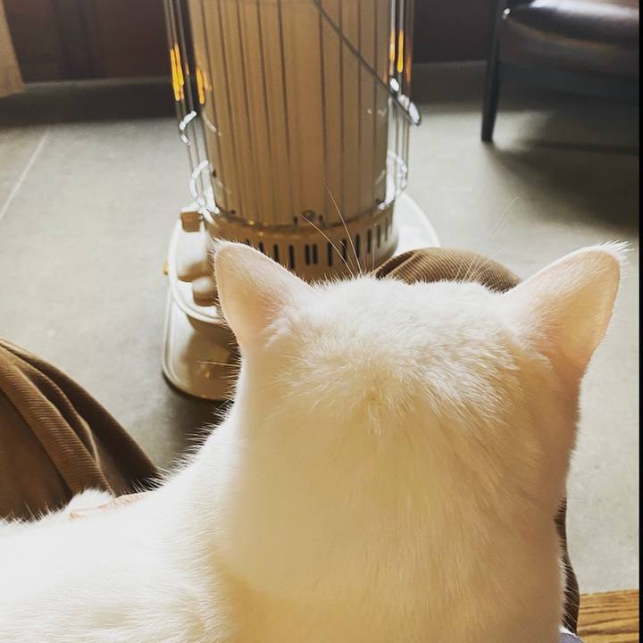 D1fd1629 6d70 4c24 a442 b9e46d929cf5 1610170486658