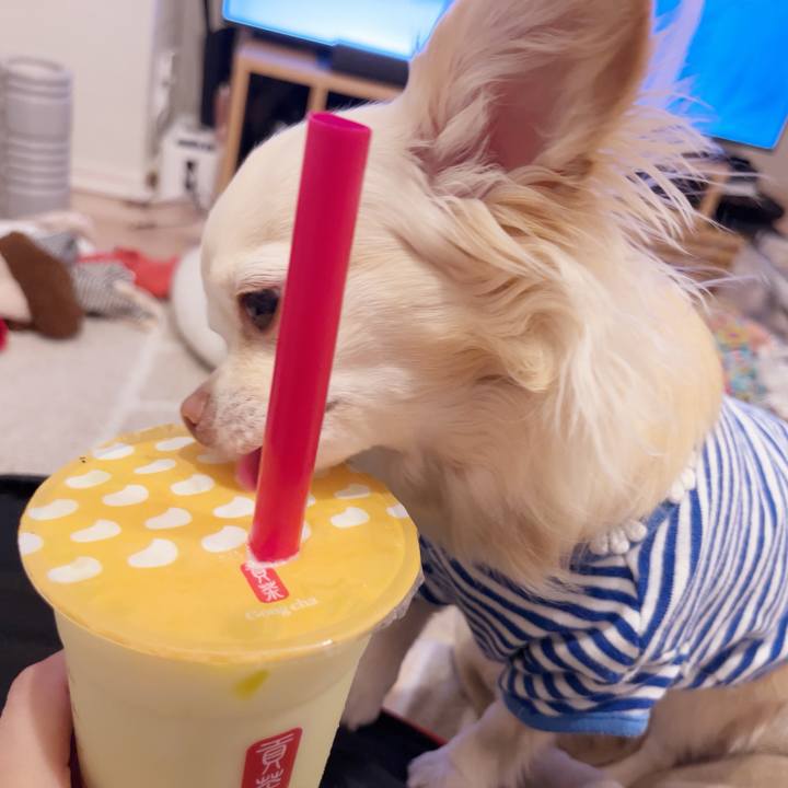 D1fd5151 064d 44e7 b78d d9e434bd727e 1743548858042