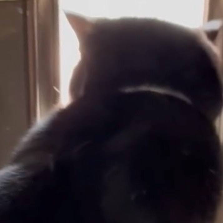 D1fd6641 e471 4fe1 97a1 ad553fb4a347 1746062223171