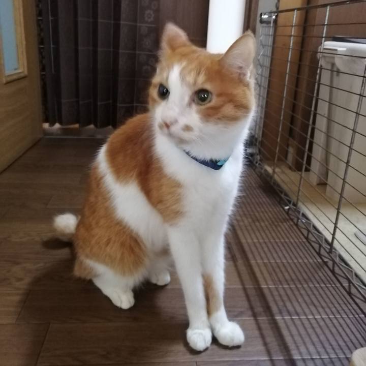 D1fd6c5c b670 489b 9ff8 3bde9d8b402b 1602800312386