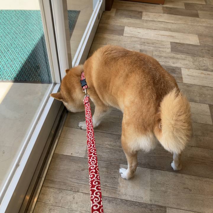 D1fd9498 1ea1 4adf 9cc8 557c7e8e6096 1618142912899