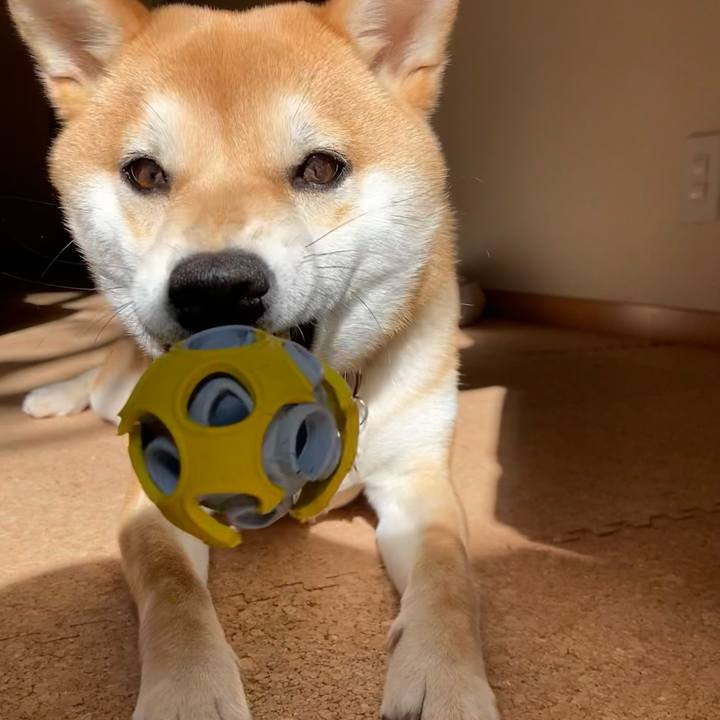 D1fdb99a 4be4 45ff a42b c211354c90be 1641355085864