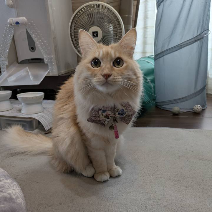 D1fdba5f 037d 49ba b78d 72ac1d361899 1767315068408