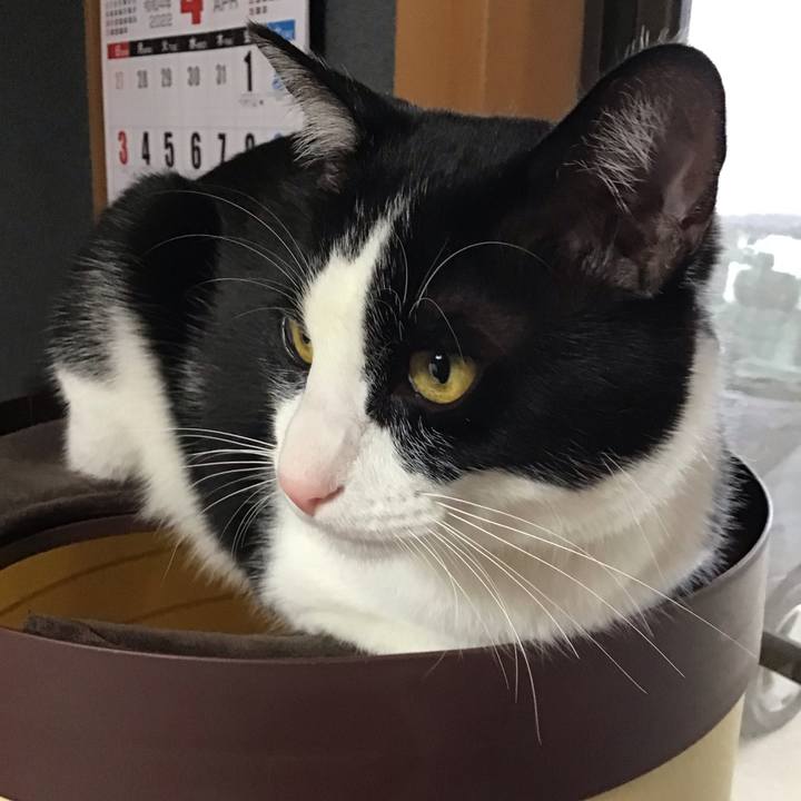 D1fdbc76 fc65 45a6 a782 d1184155b169 1650781872007