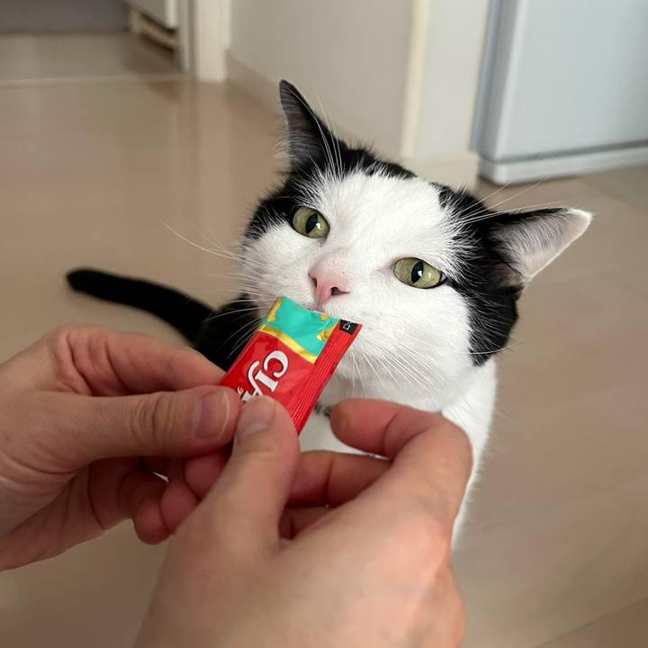 D1fdd800 cdc7 4ebe bbcf ce45aabc828e 1762298069112