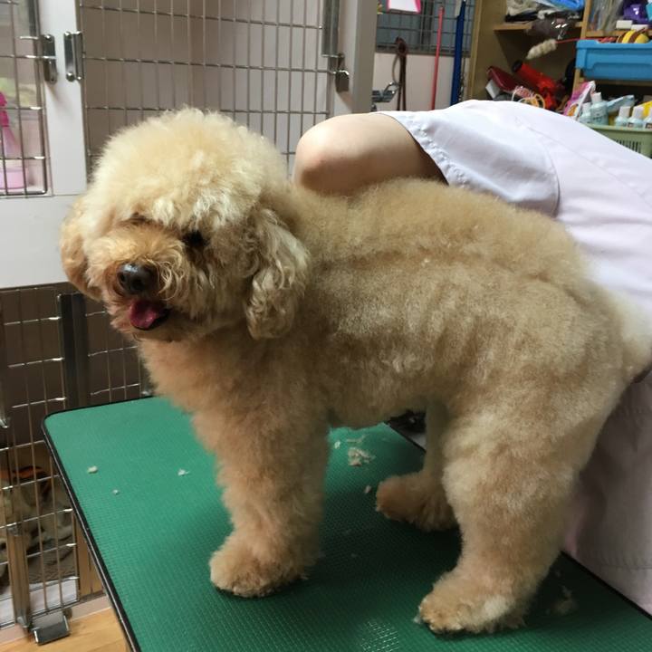 D1fdfffc a6d4 49e1 9679 49b5591d7f15 1514287959348