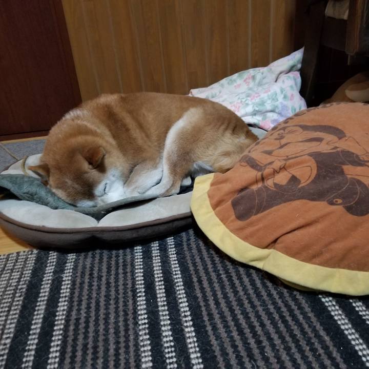 D1fe5a0d d24e 4a15 b346 cb4dddf9f25d 1669549905948