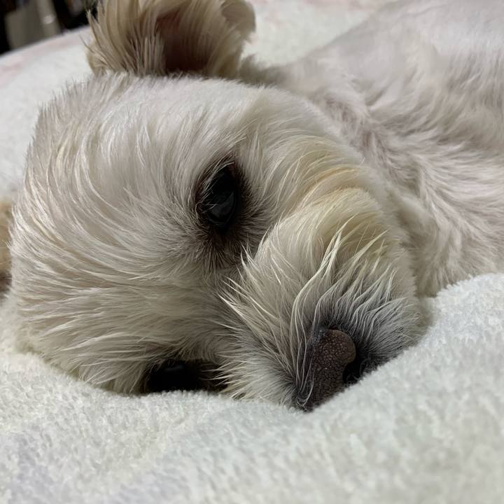 D1fe6e96 9368 41fe a28e 7bb8a23ef4d0 1601730682256