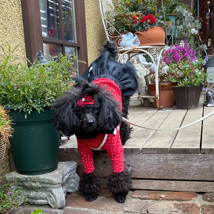 D1fe813f e5b7 4209 96d3 2325e66a14ee 1648517128814