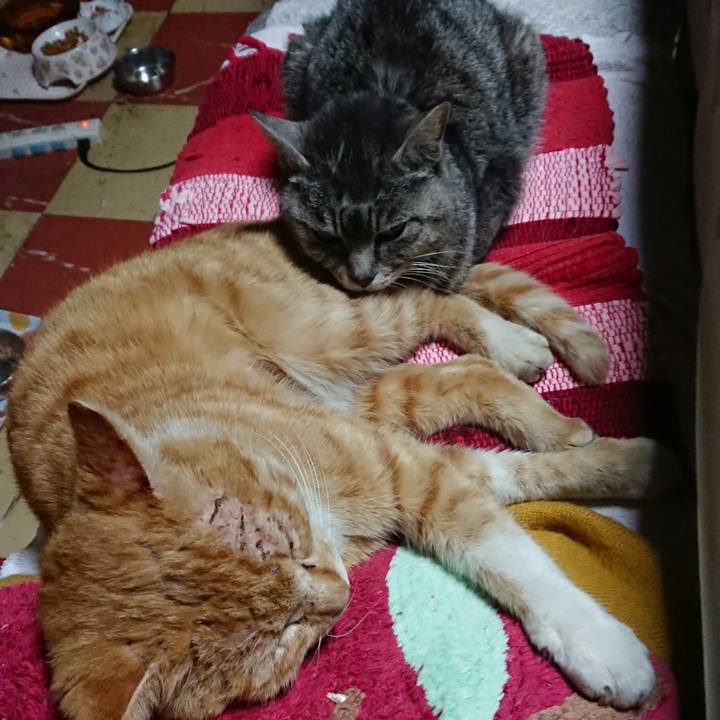 D1fec554 3ed8 43ac 88dd 966284a7ae86 1551006245096