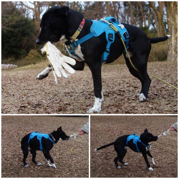 D1fec70d 7167 41ee 9699 c9c1bcc3c40d 1610409544924