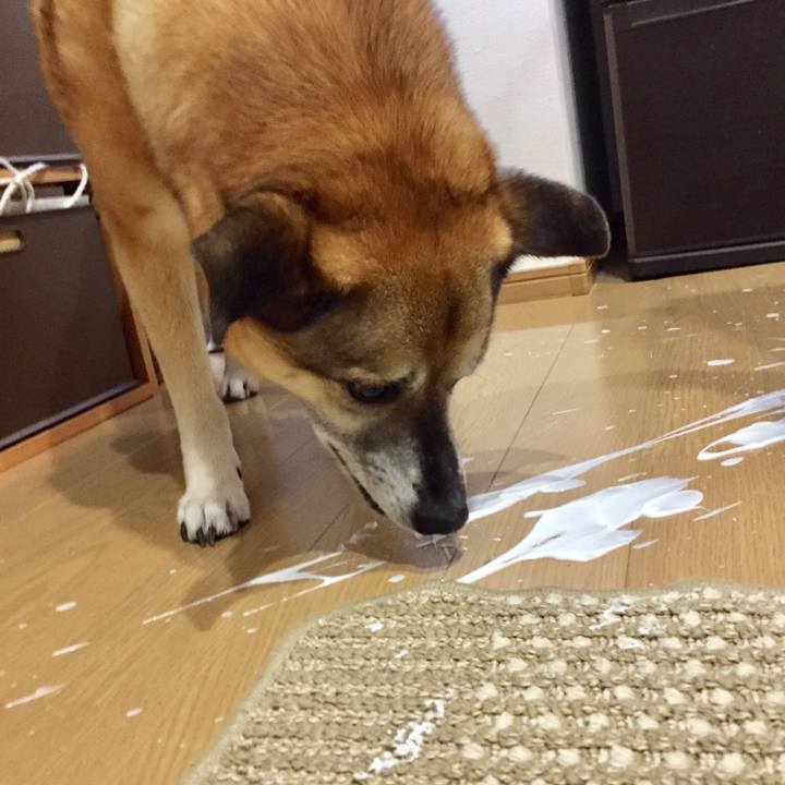 D1fed4c0 9ec5 4217 8f30 4cac1a427607 1555924781824