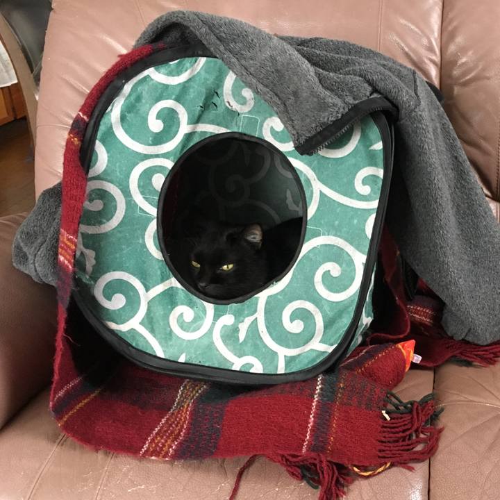 D1fed554 bf46 4c0b bcbf ab62de6f9579 1509079892530