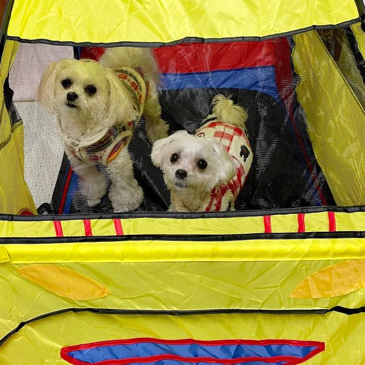 D1fef266 bd28 4eda 9463 83c645d39523 1615172256152