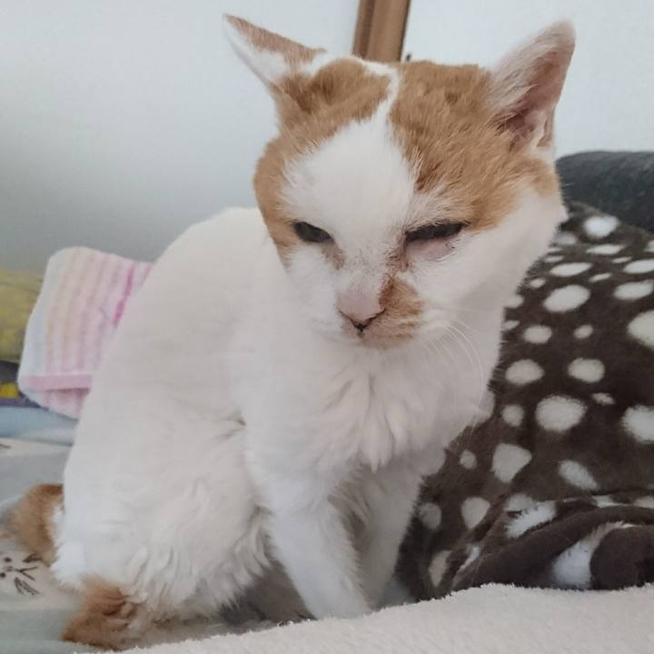 D1fefdfa 9238 473c 9471 5a3eedb0c3bd 1601122909240