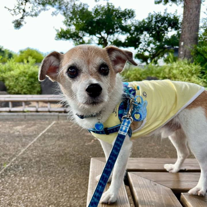 D1ff3504 9890 40c7 811e 3ae5e531b4af 1689415514679