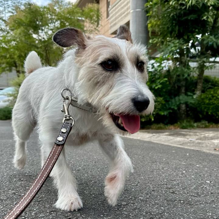 D1ff8900 cf31 4e5a 8418 24afe8109eaf 1756347947707