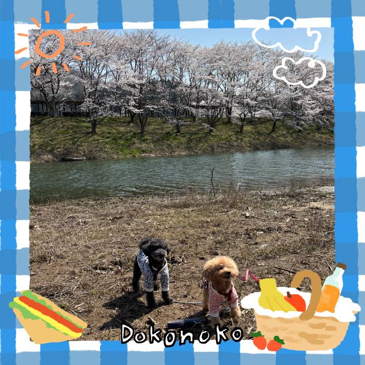 D2000693 abea 4250 9cb1 a6ff73a020d3 1744283699325