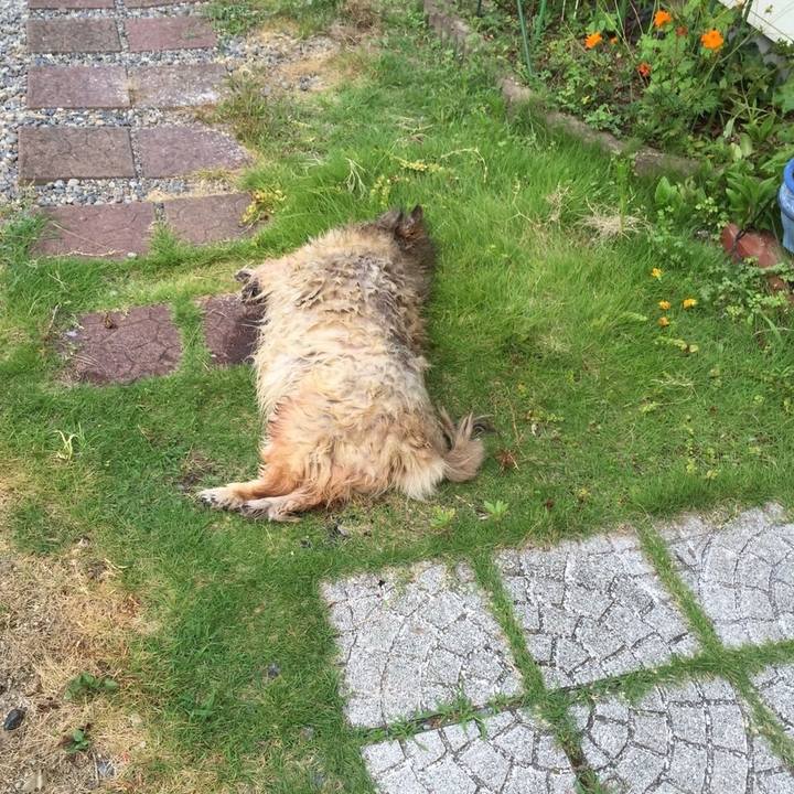 D20015c8 b685 4242 b672 97a272e6f7f8 1590726777825