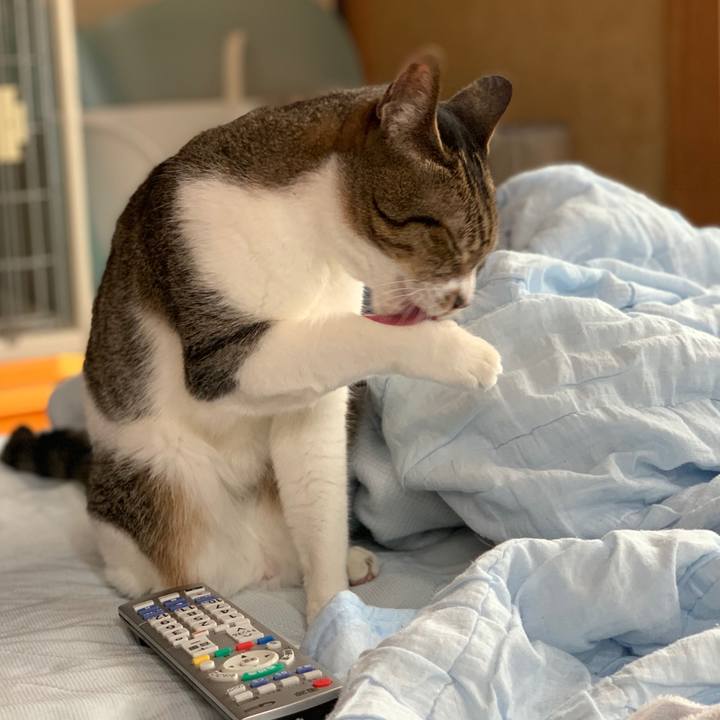 D2001677 a11a 49f9 9a96 efbbb9f884d6 1562634002650