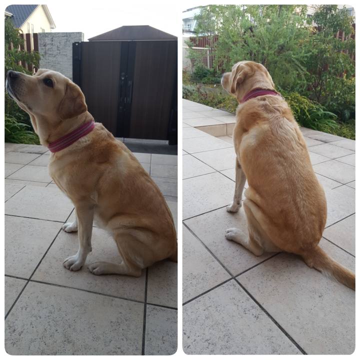 D20019f3 1c2e 4b9a b587 3460b801692d 1542967839669