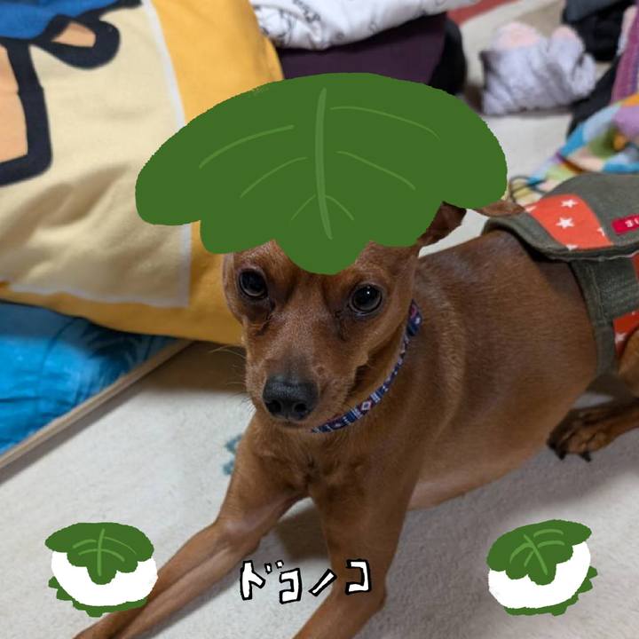 D2005be8 2179 4564 af2f 6504bbc5f357 1749566395610