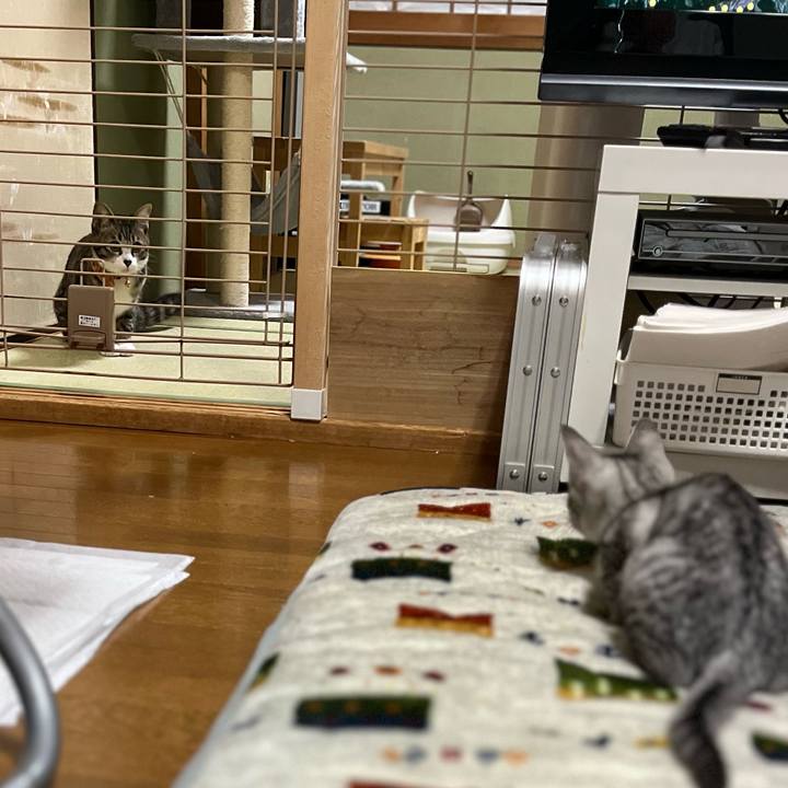 D20067d2 f67e 4632 9e76 071fc037fe23 1699268991721