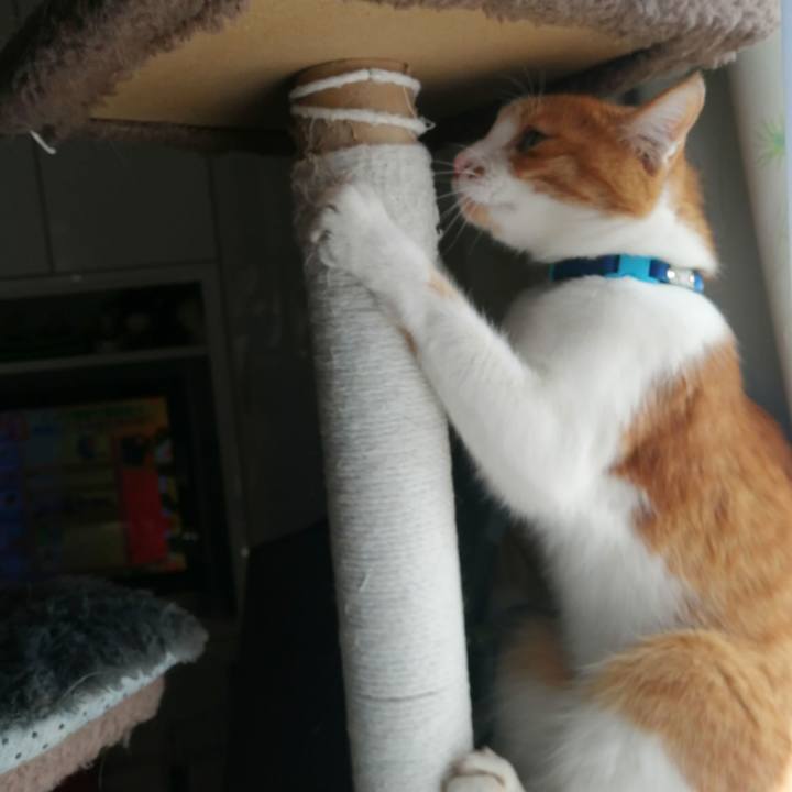 D200ba67 35bd 4fe0 9611 e10269d0e551 1612238113298