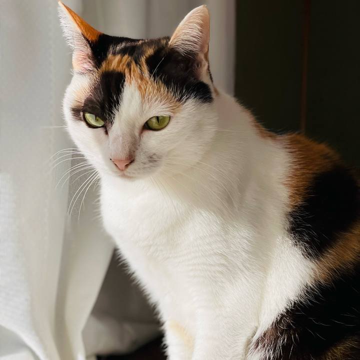 D200be32 db31 4f12 936f a008ccd93847 1638416743419