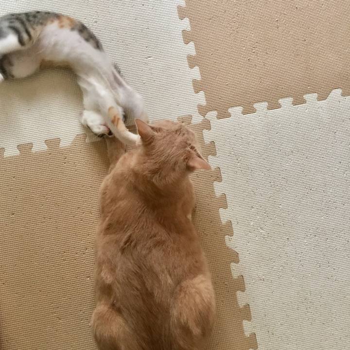 D200e0a9 cb69 4081 8f50 877e3b71c34a 1633409159531