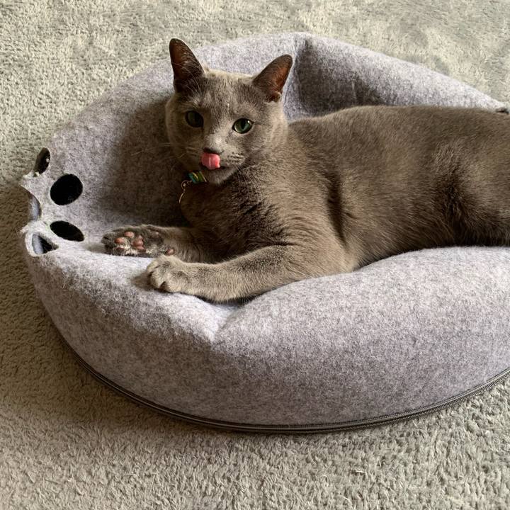 D200e891 ce0f 43cb 91ee bbf9324018d6 1624151161932