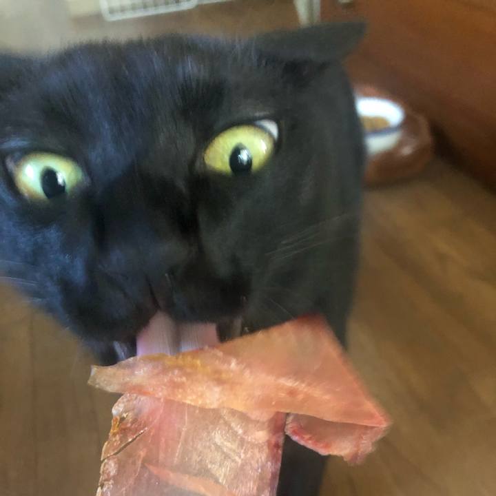 D2016719 416e 43ce 93a6 4a223f98f9c6 1656638254578