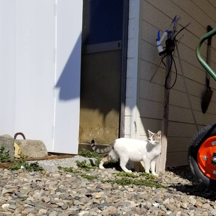 D2017089 ff25 46dc 8986 6d2d22abb8aa 1619396501825