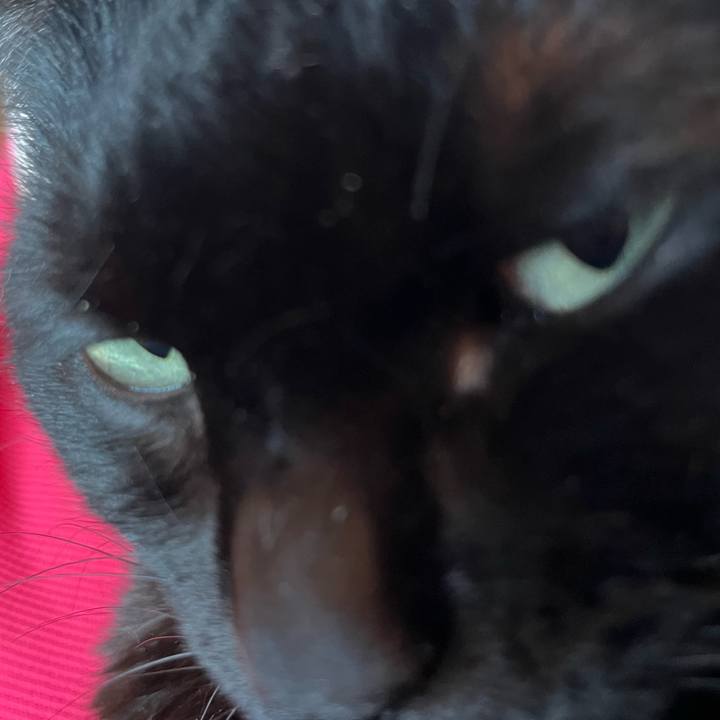 D2018744 a4ac 4ec4 98d3 fc31f5e827a3 1766788338233